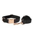 collar and leash set