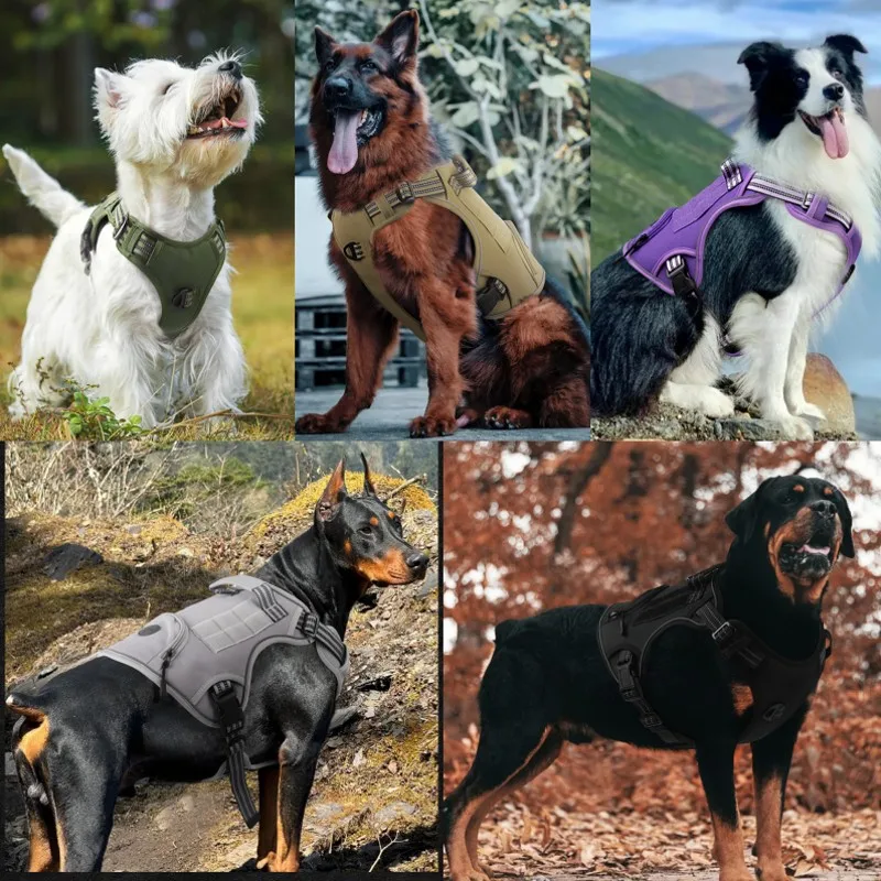 Arnes tactico para perros grandes: con correa y bolsillo de bolsas