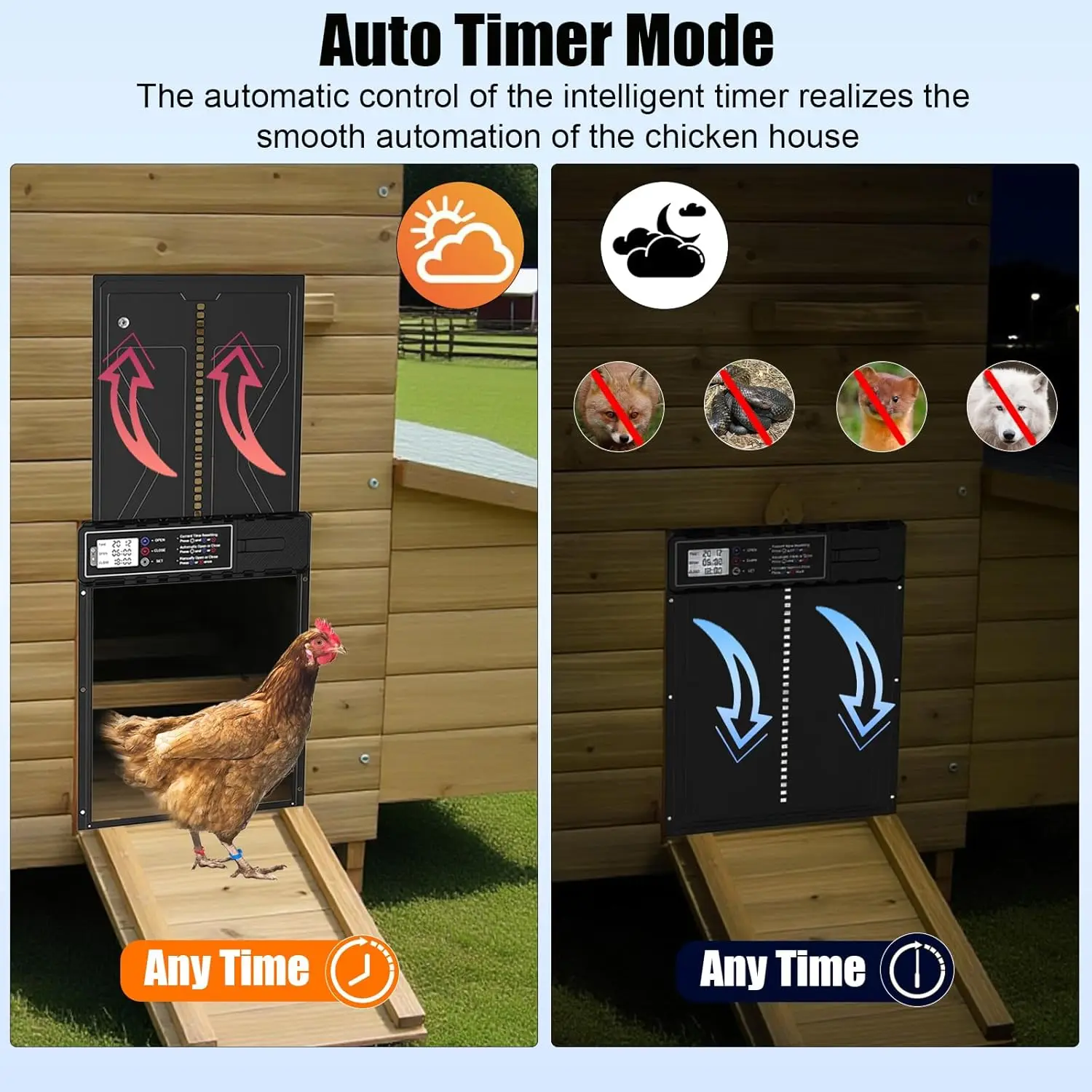 Puerta automática para gallinas con energía solar y control remoto - imagen 4