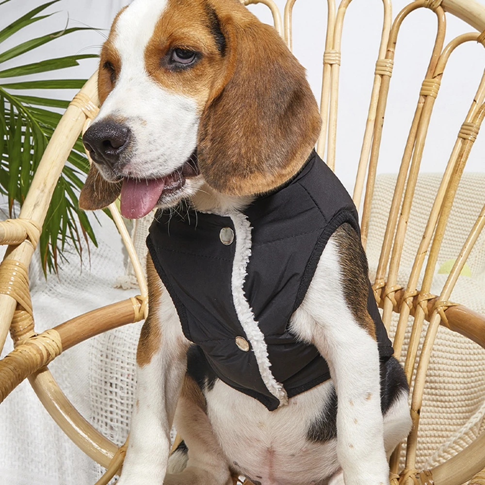 Ropa cálida de invierno para perros pequeños, chaleco grueso impermeable para cachorros, chaqueta para Chihuahua, disfraz para perros Pug, S-XL - imagen 4