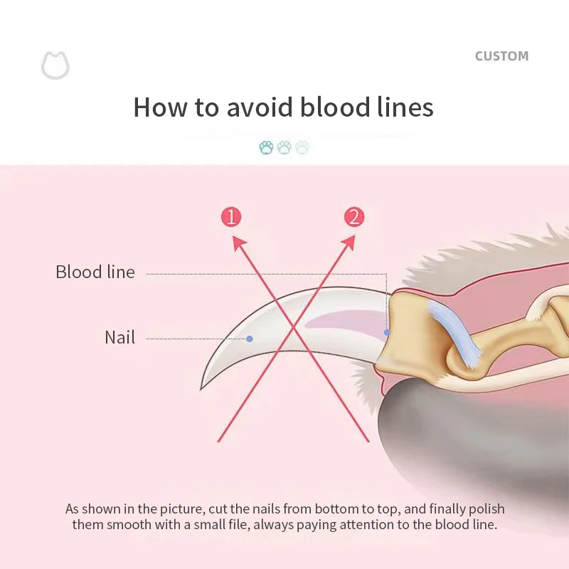 Cortauñas profesional para perros y mascotas, tijeras de aseo de acero inoxidable, cortaúñas para animales y gatos - imagen 2