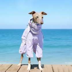 Cortavientos impermeable para Galgo Español y Whippet – Chaqueta ajustable