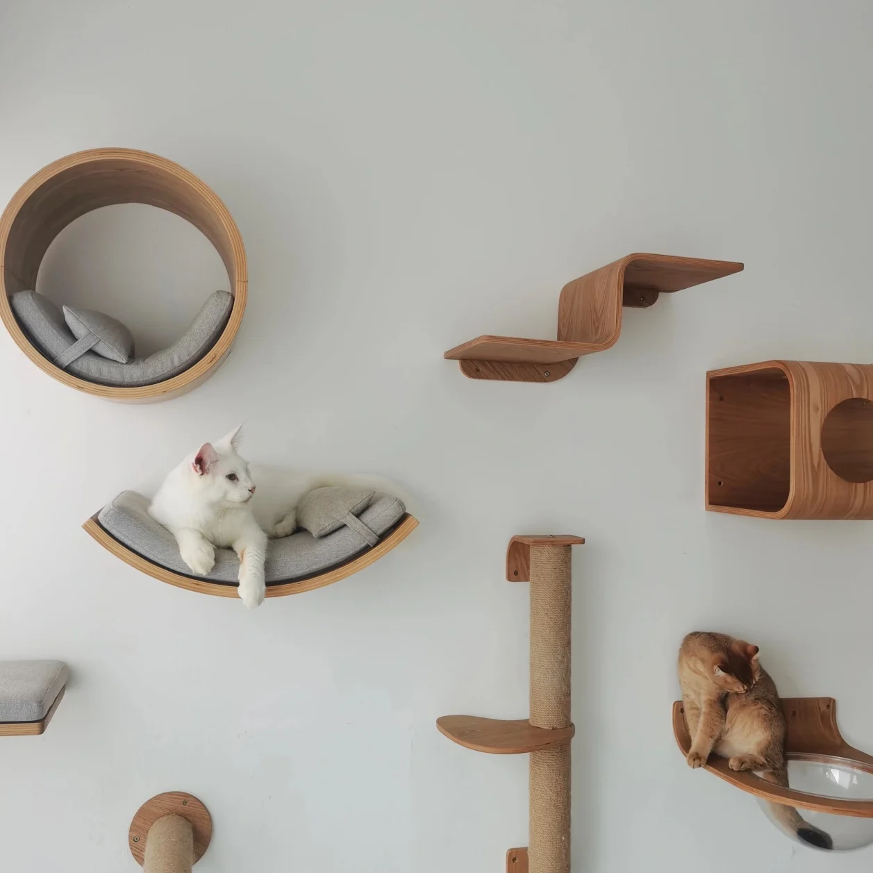 Juego de torre de árbol montada en la pared para gatos con hamaca, escaleras y casa para gatos, accesorio para muebles para mascotas para pasear y jugar - imagen 4
