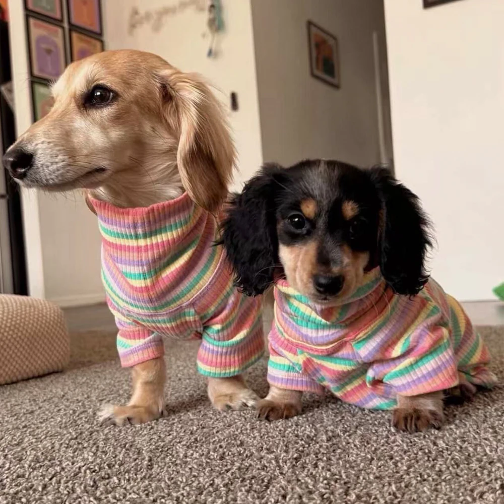 Camiseta manga larga rayas perro salchicha mini – Primavera Verano - imagen 5