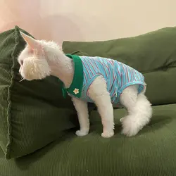 Mono azul para gatos Sphynx y Devon Rex – Abrigo cómodo