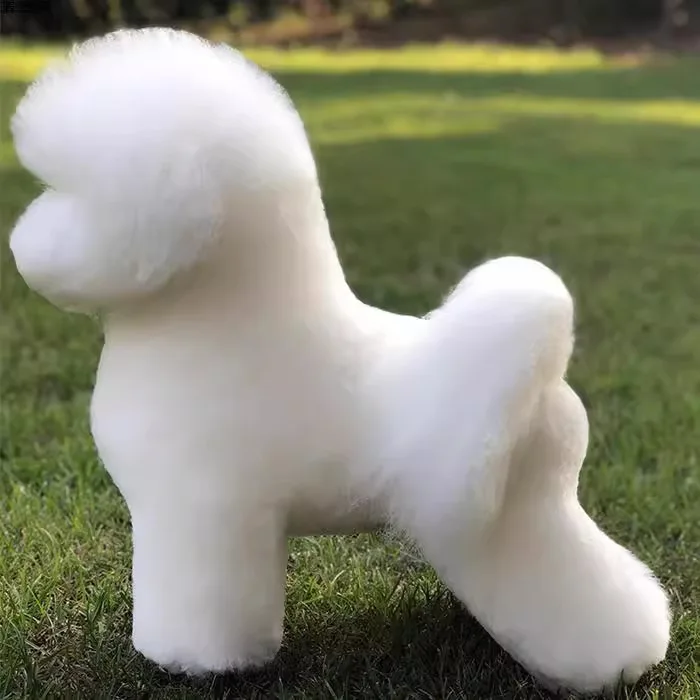 Maniquí entrenamiento peluquería canina con pelo Teddy Poodle - imagen 4