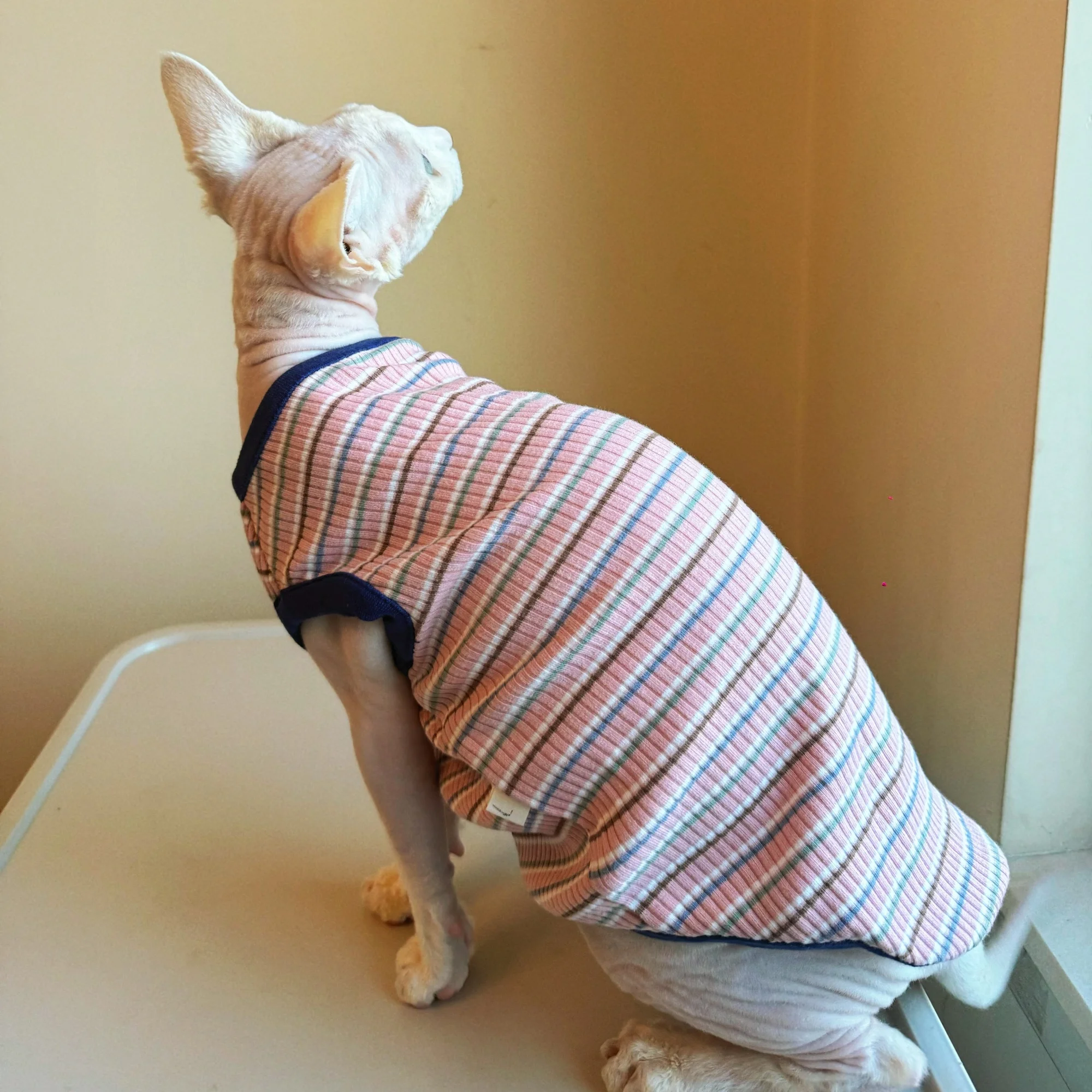 Camiseta para gatos Sphynx y Devon Rex de algodón a rayas sin pelo - imagen 3