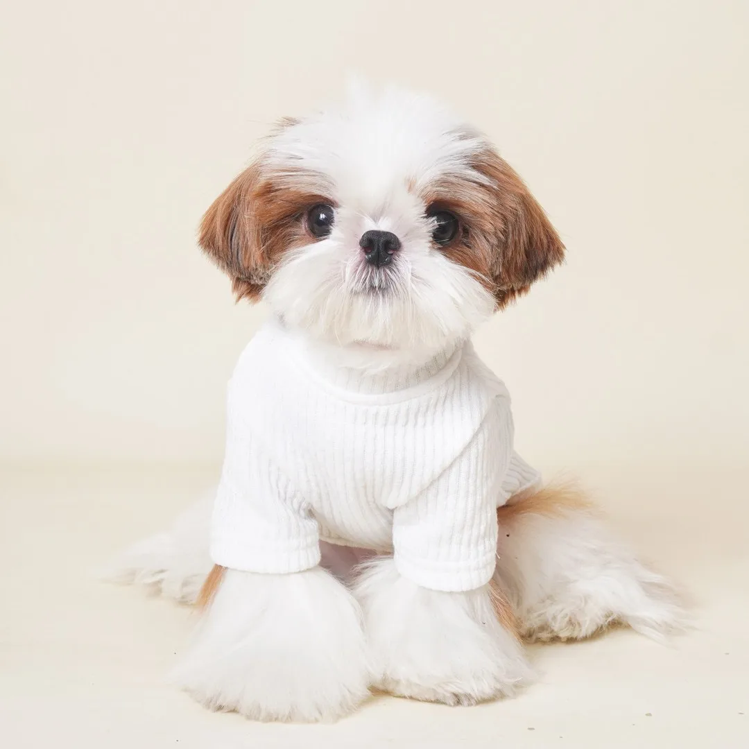 Camisa Base blanca de cuello alto para otoño e invierno, camiseta de Teddy Yorkshire, chaleco para perro, ropa para cachorro, ropa para perros pequeños - imagen 2