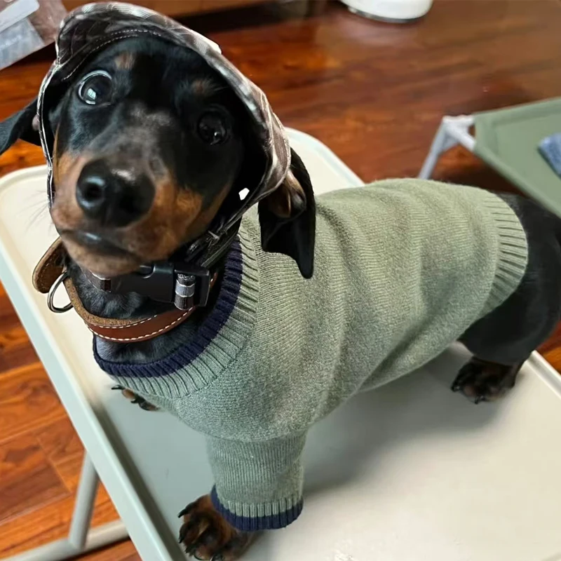Suéter cálido para perros Wiener en invierno, abrigo suave tejido a mano para perros tejón en otoño, ropa de descanso para perros salchicha - imagen 3