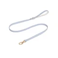 blue leash