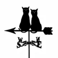 Two Cats