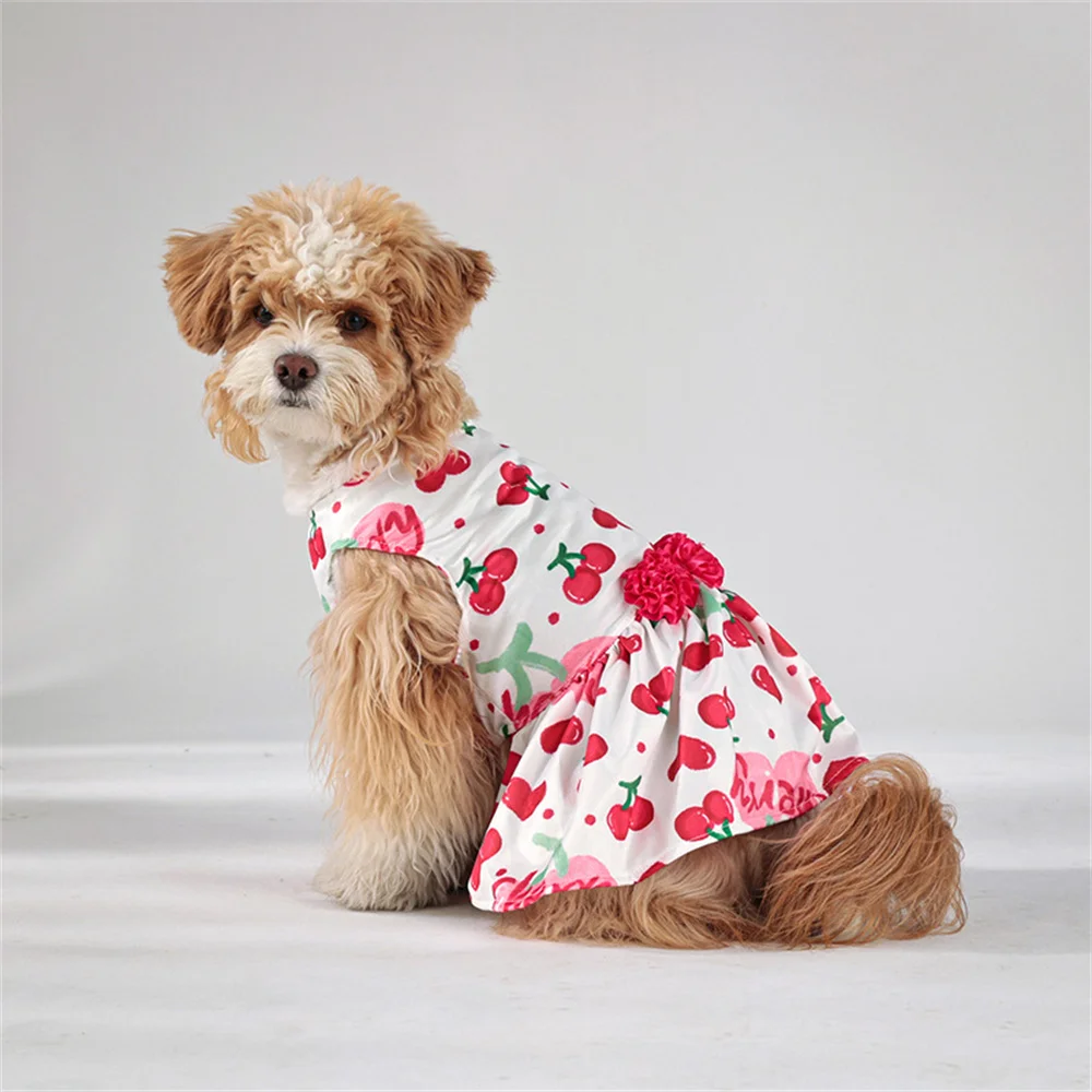 Vestido de San Valentín para cachorros, perros y gatos, encantadores vestidos de deshierbe para mascotas para perros pequeños, falda Schnauzer de Pomerania, ropa para mascotas - imagen 4