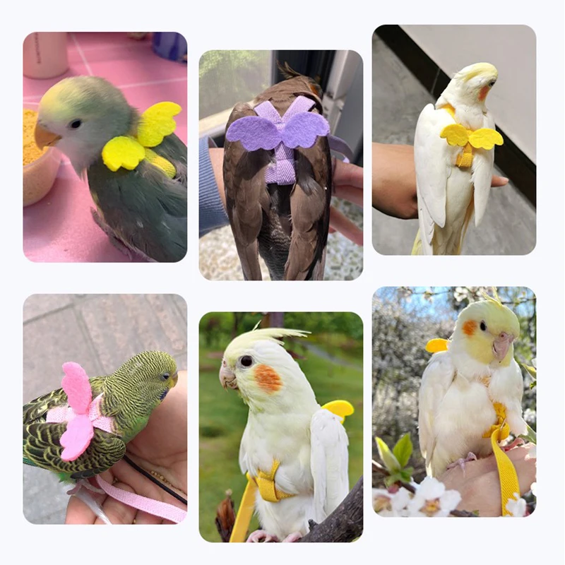 Arnés de Cable largo para pájaros, correa de entrenamiento antimordeduras, cuerda decorativa ligera para chaleco de loro y periquito - imagen 4