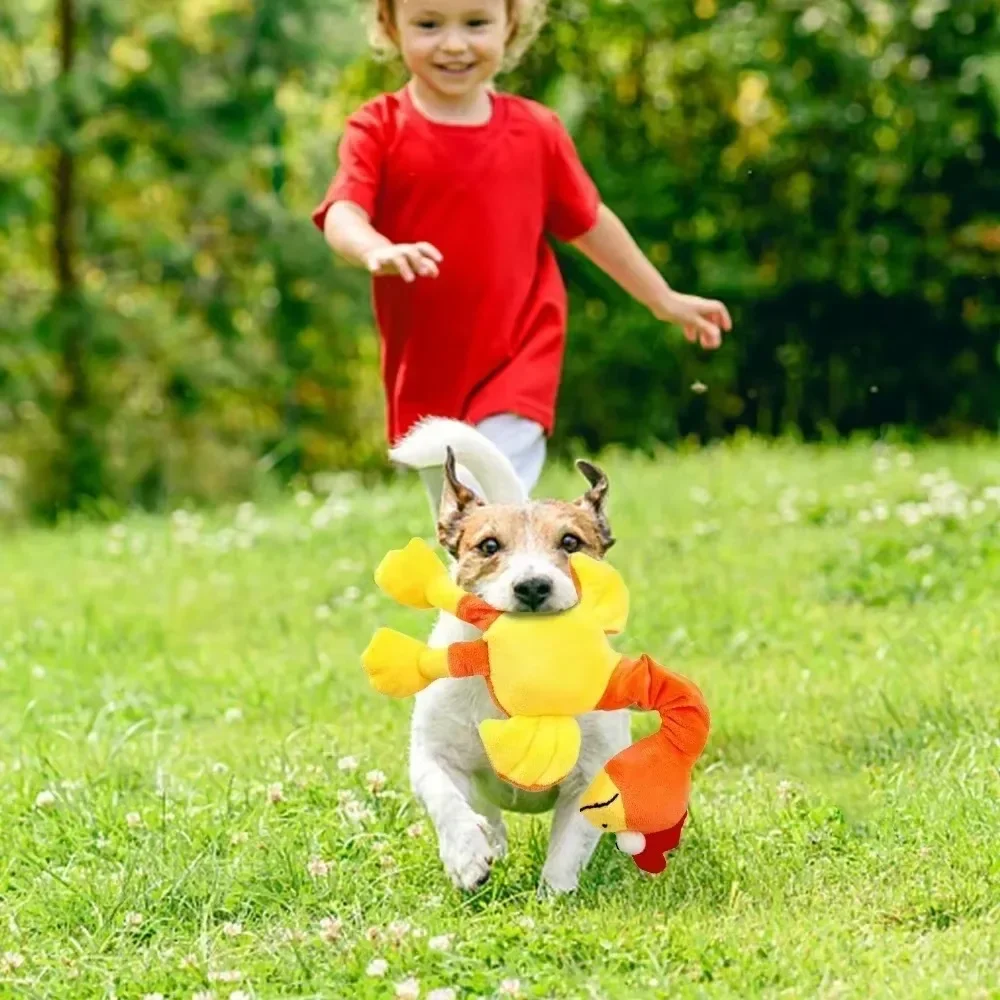 Juguete chillón masticable para perros – Resistente y divertido - imagen 3