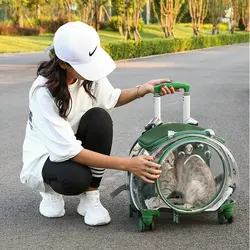 Transportín transparente para gatos – Bolso de viaje transpirable
