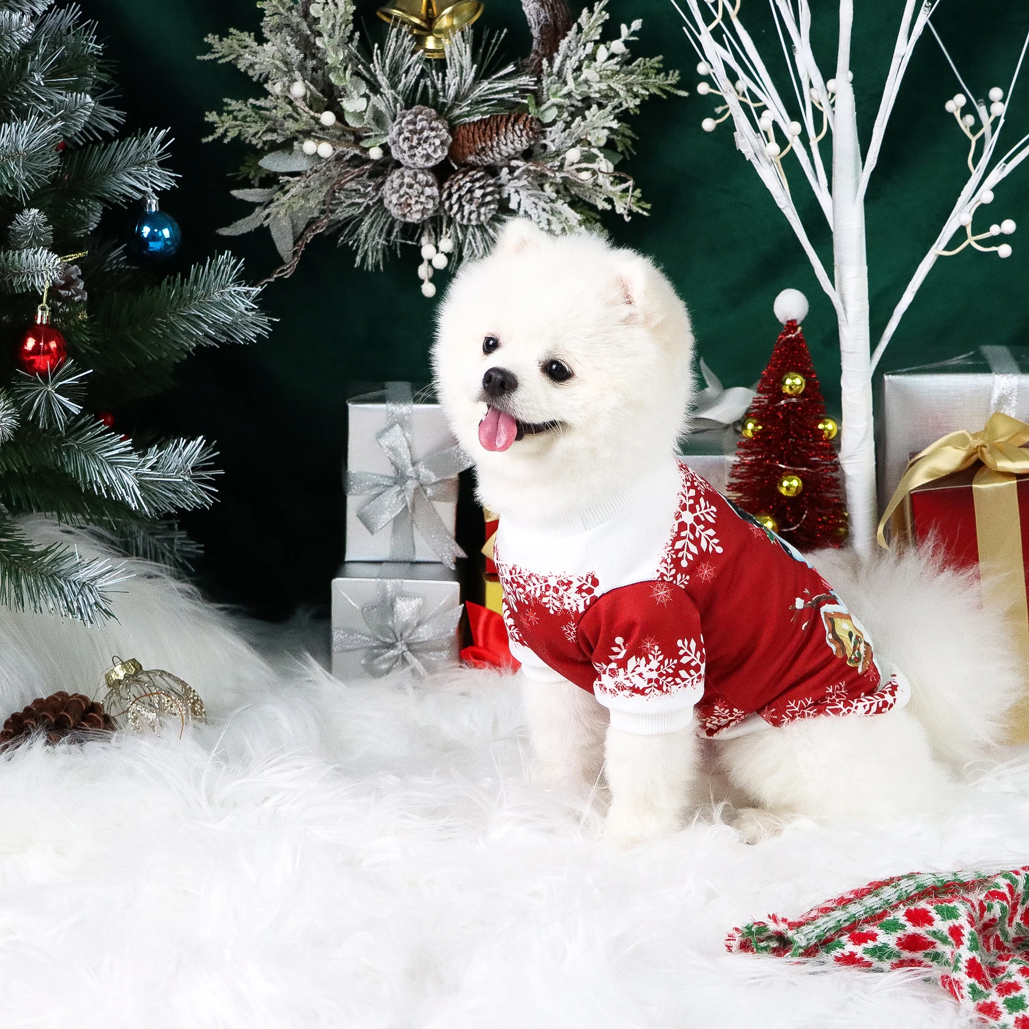 Sudadera con capucha para perros – Estampado invierno cálida y cómoda - imagen 3