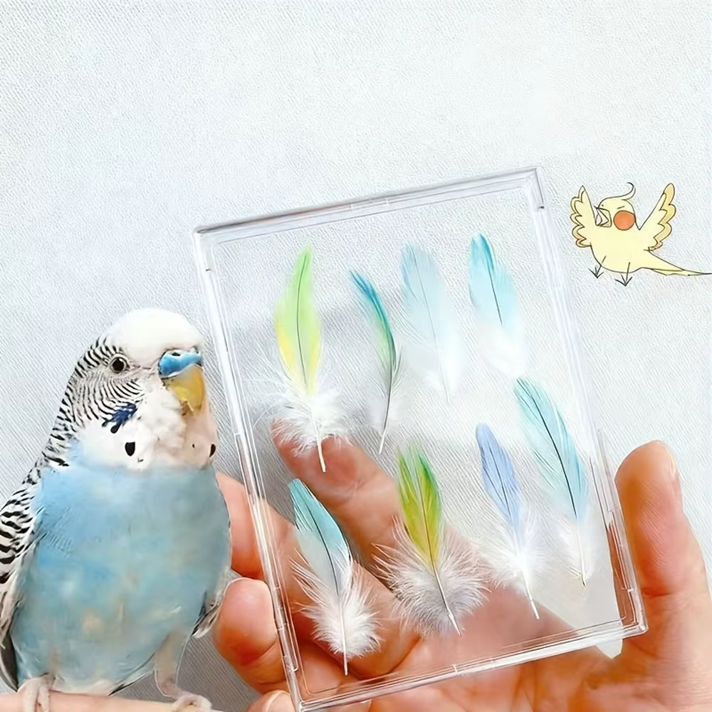 Marco recuerdo con vitrina de plumas de ave – para gatos y perros - imagen 3