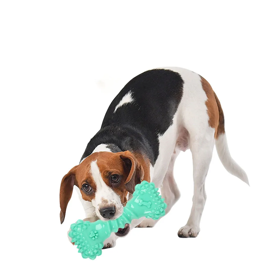 Juguete chirriante para huesos de perro, juguete para masticar para limpieza de dientes molares para perros, suministros interactivos para mascotas Boredom Buster, - imagen 3