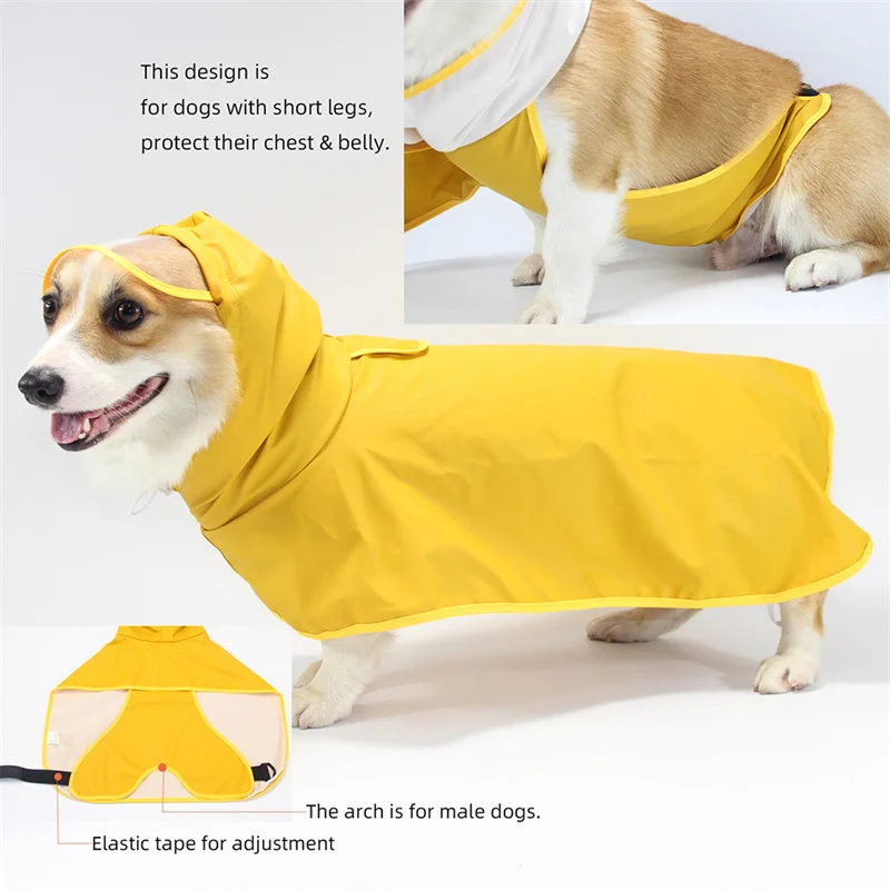 Perro grande con impermeable verde en sendas naturales