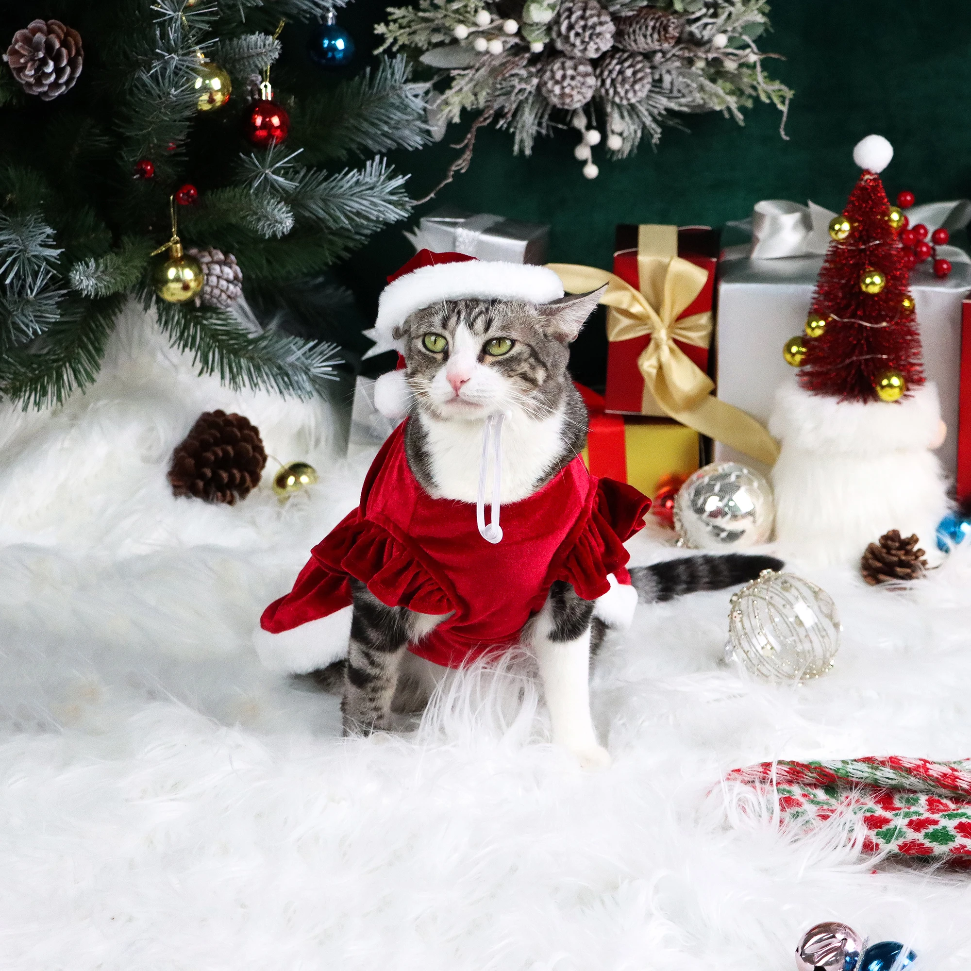 Conjunto de 2 vestidos de Navidad para perro, vestido para cachorro con letras de Papá Noel para bebé, ropa de felpa para cachorro, fiesta de Navidad para mascotas, ropa cálida para gato - imagen 4
