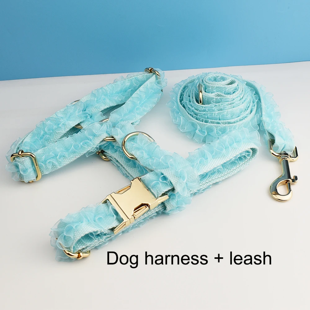 Harness   leash