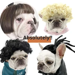 Peluca para gato Halloween – pelo rizado o liso, accesorio divertido
