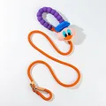 leash Little Duck 