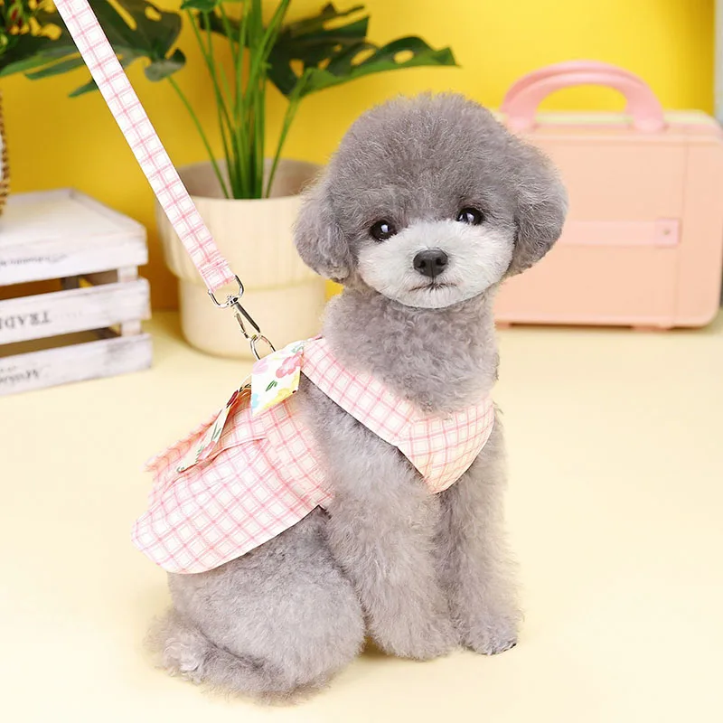 Conjunto de falda con correa para perro pequeño y mediano, chaleco de arnés para gato, cachorro, gatito, vestido con lazo, Chihuahua, Pug, Teddy, correa de plomo para caminar al aire libre - imagen 2