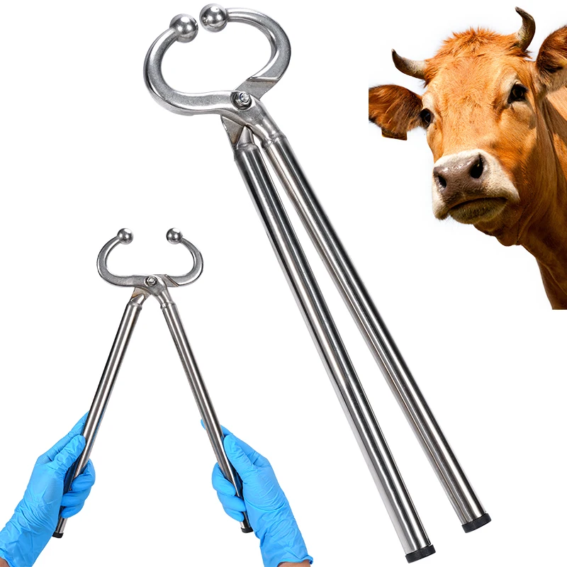 Alicates de tracción para vacas, alicates automáticos de acero inoxidable para nariz de primavera, alicates para nariz de ganado, Clip para nariz de vaca, herramienta de tracción, anillo para ganado - imagen 3