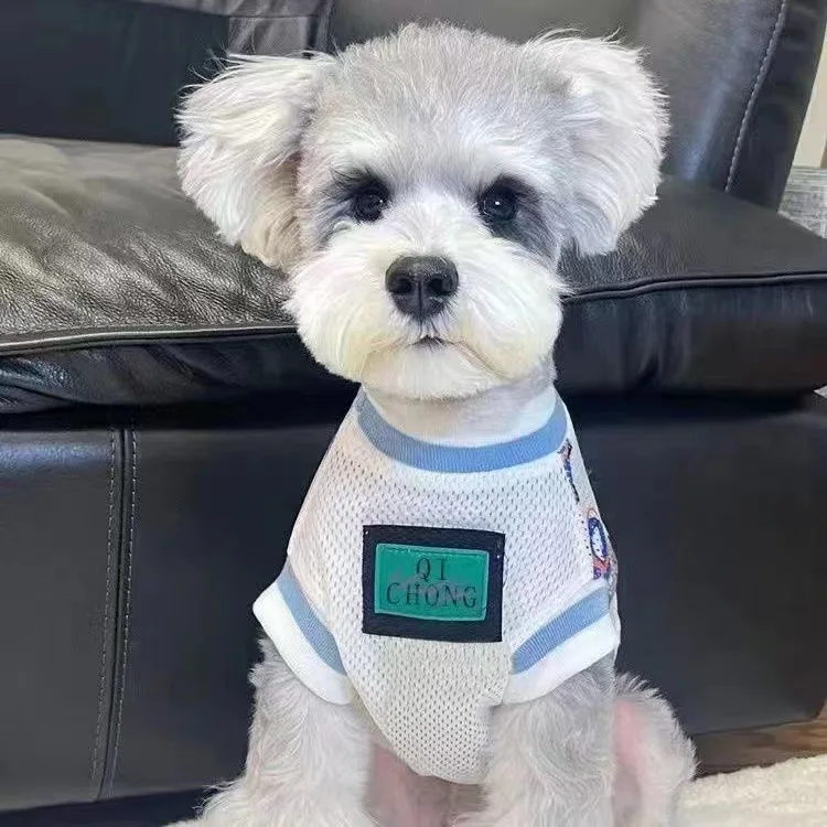 Chaleco transpirable de malla para perros pequeños, ropa fina de verano, protección solar, aire acondicionado, Schnauzer, Teddy