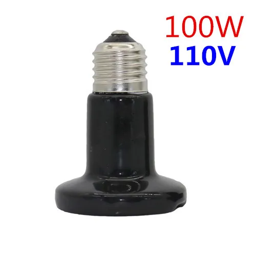110V-100W