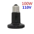 110V-100W