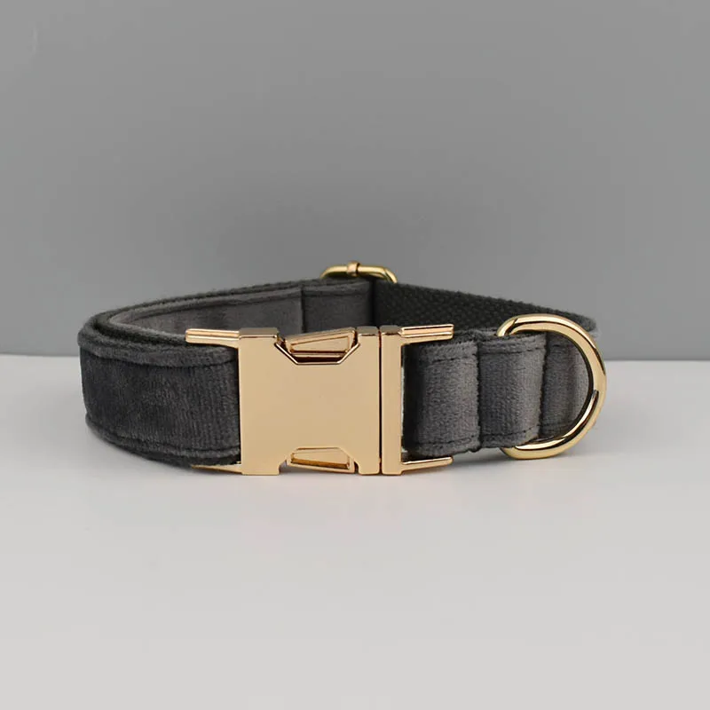 Dog collar31