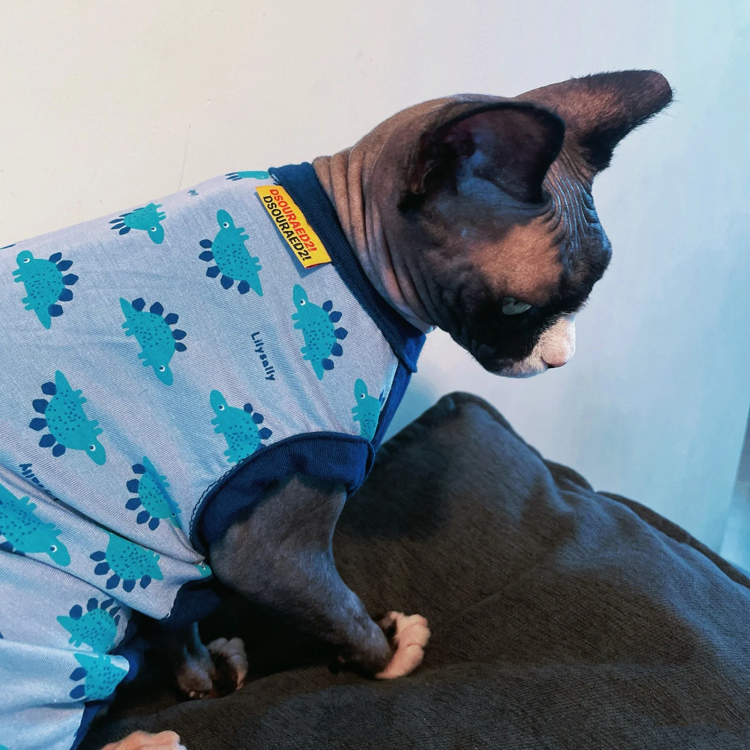 Chaleco fino de algodón de verano para gato sin pelo, camiseta sin mangas de dinosaurio de dibujos animados azul para esfinge en primavera, mono suave para cachorros - imagen 5