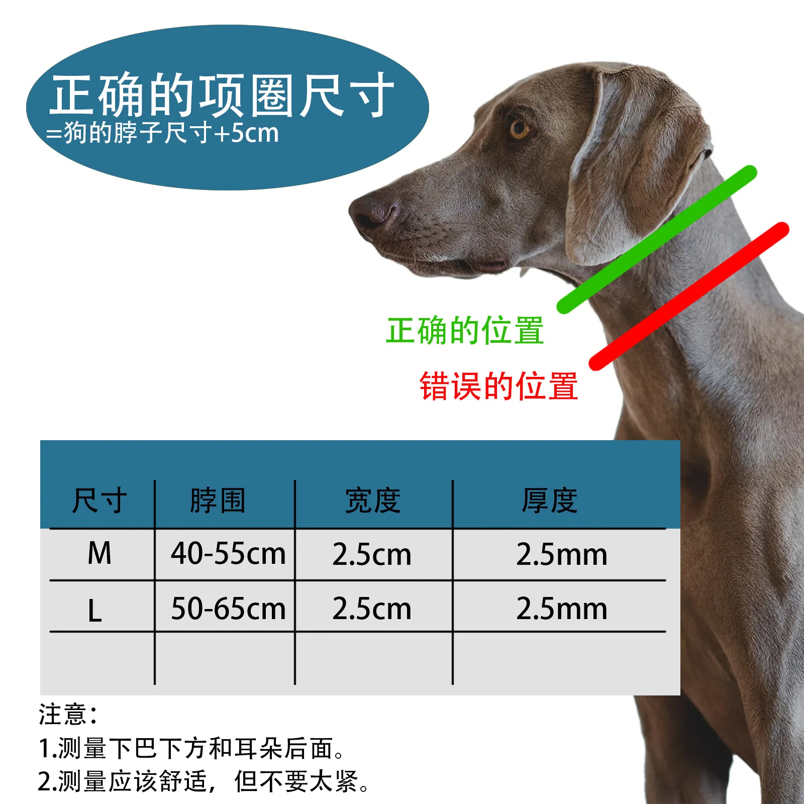 Collares de entrenamiento con púas de impacto para perros, Collar ajustable de neopreno antitiramiento para caminar, productos para mascotas, suministros para perros - imagen 4