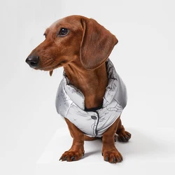 Chaleco de plumón para perro salchicha – Abrigo térmico invierno