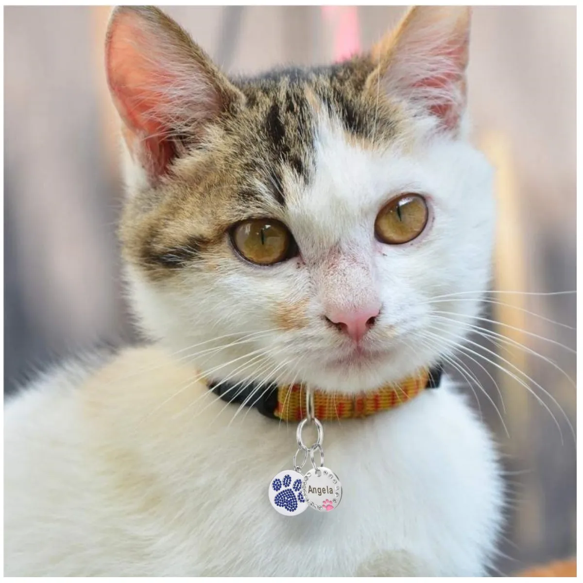 Collar con colgante de nombre de mascota grabado de acero inoxidable, etiquetas de identificación, Collar con colgante de diamante grabado antipérdida personalizado para identificación de perro y gato - imagen 5