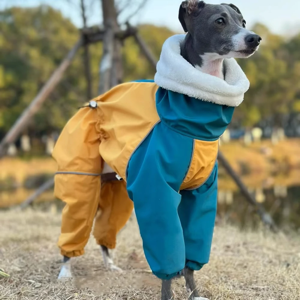 Ropa de moda para perros galgo italiano, sudadera cálida de 4 patas con cuello alto para perros, chaqueta de invierno, abrigo, ropa de descanso suave para Bellington - imagen 4