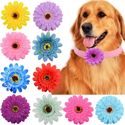 Collar floral con pajarita para perros – diseño cómodo y bonito