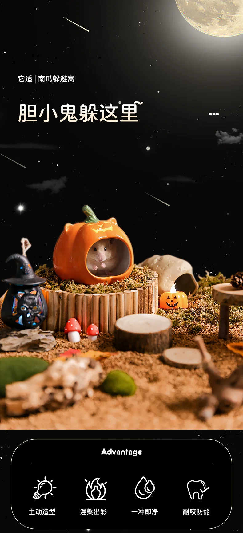 Nido de calabaza visto desde arriba