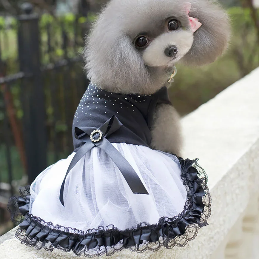 Faldas para perros, vestidos de boda para mascotas, vestidos para mascotas, caniche, Bichon Frise, vestido de princesa, vestidos de verano para perros - imagen 2
