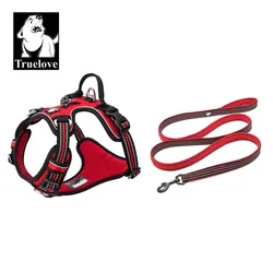 Arnés reflectante con correa para perro – Ajustable y seguro