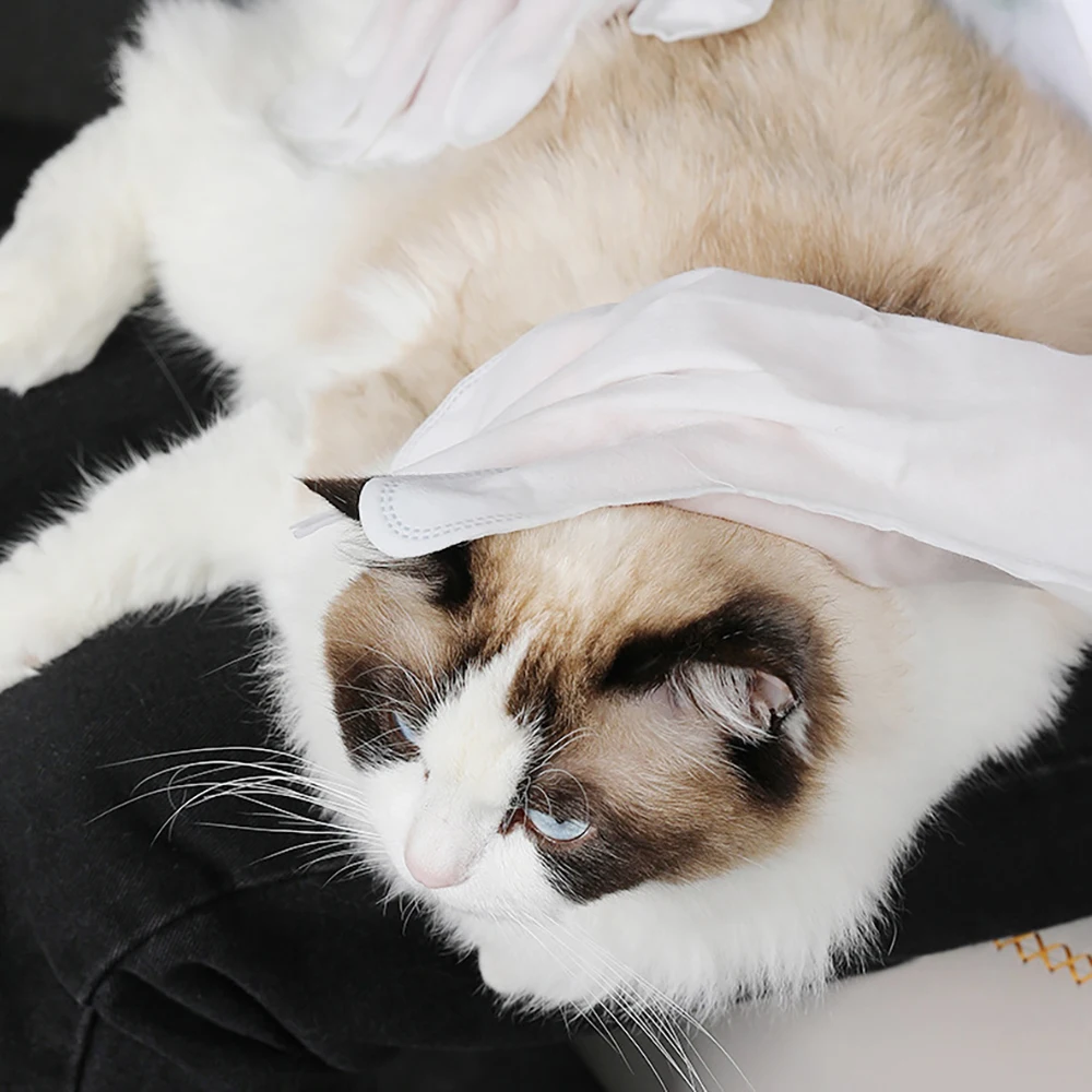 MADDEN-guantes de limpieza desechables para mascotas, 1 paquete/8 piezas, seda no tejida, aminoácido, baño para perros para proteger el cabello - imagen 2