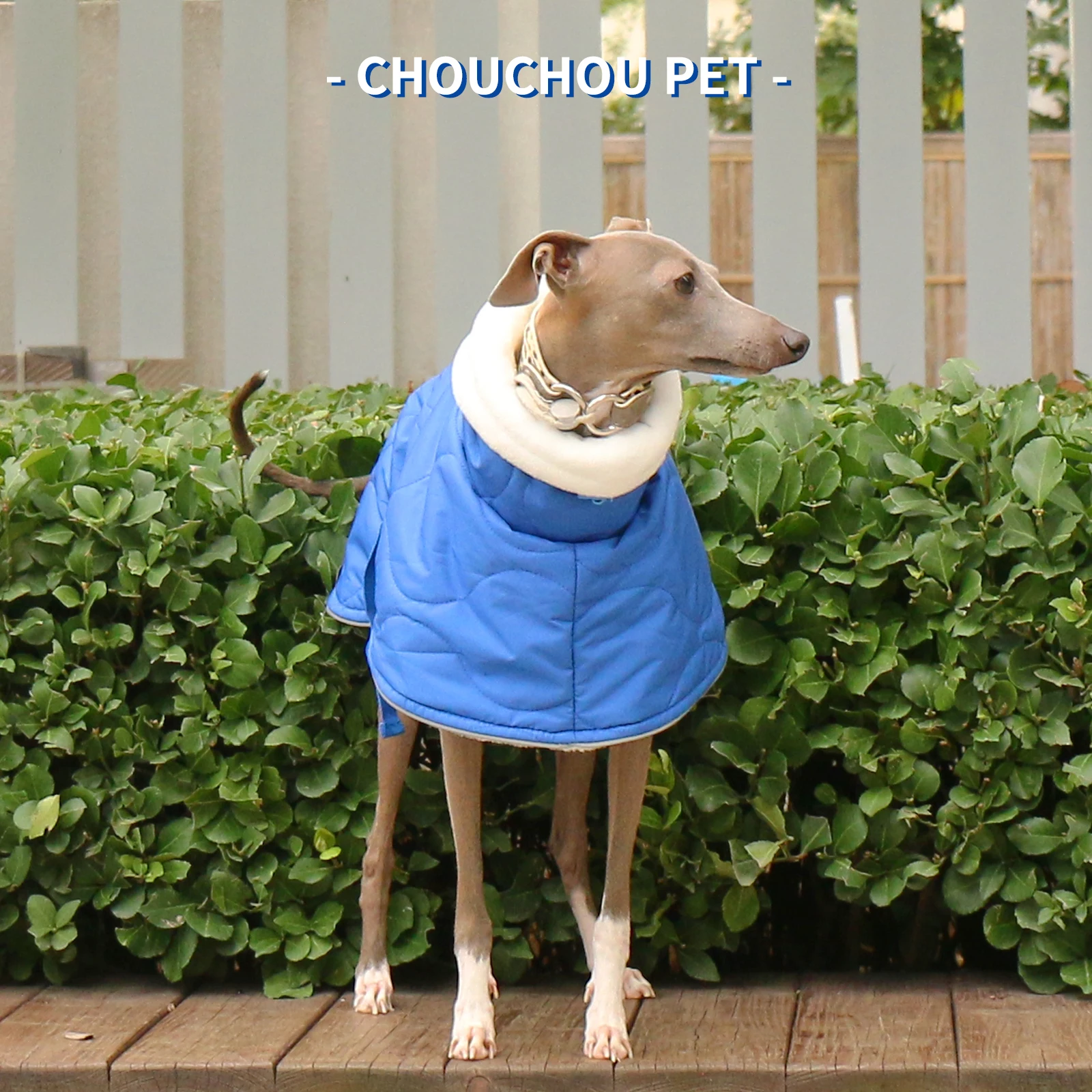 Chaqueta para mascotas gruesa impermeable cálida de algodón de invierno Whippet galgo italiano - imagen 5