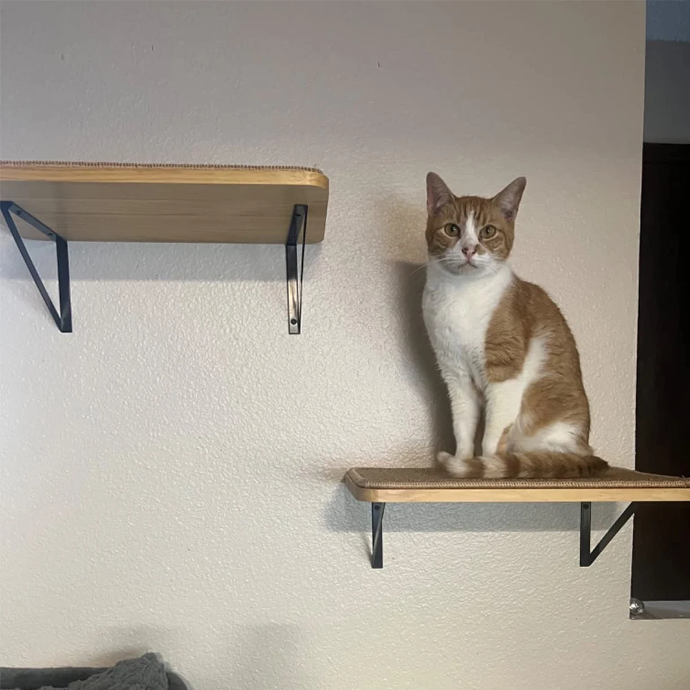 Estantes de pared para gatos con poste rascador, escalones de escalada, paredes de madera para gatos, muebles para gatos durmiendo, rascador y exploración - imagen 5