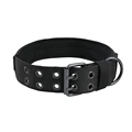 Black Dog collar