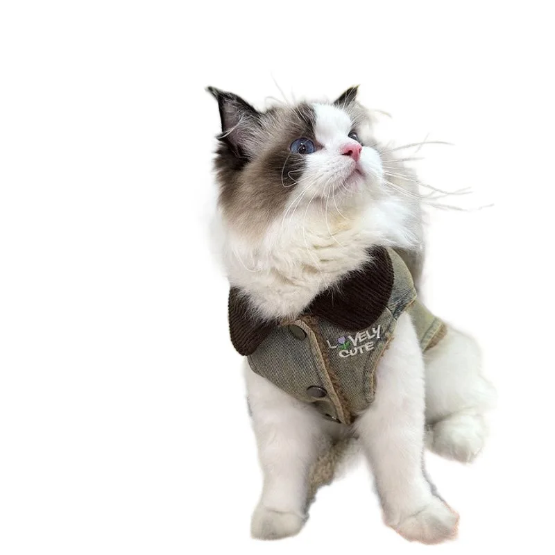 Chaqueta vaquera bordada de otoño e invierno para mascotas, chaleco vaquero para gatos, chaleco cálido y de felpa para otoño e invierno, ropa para cachorros - imagen 5