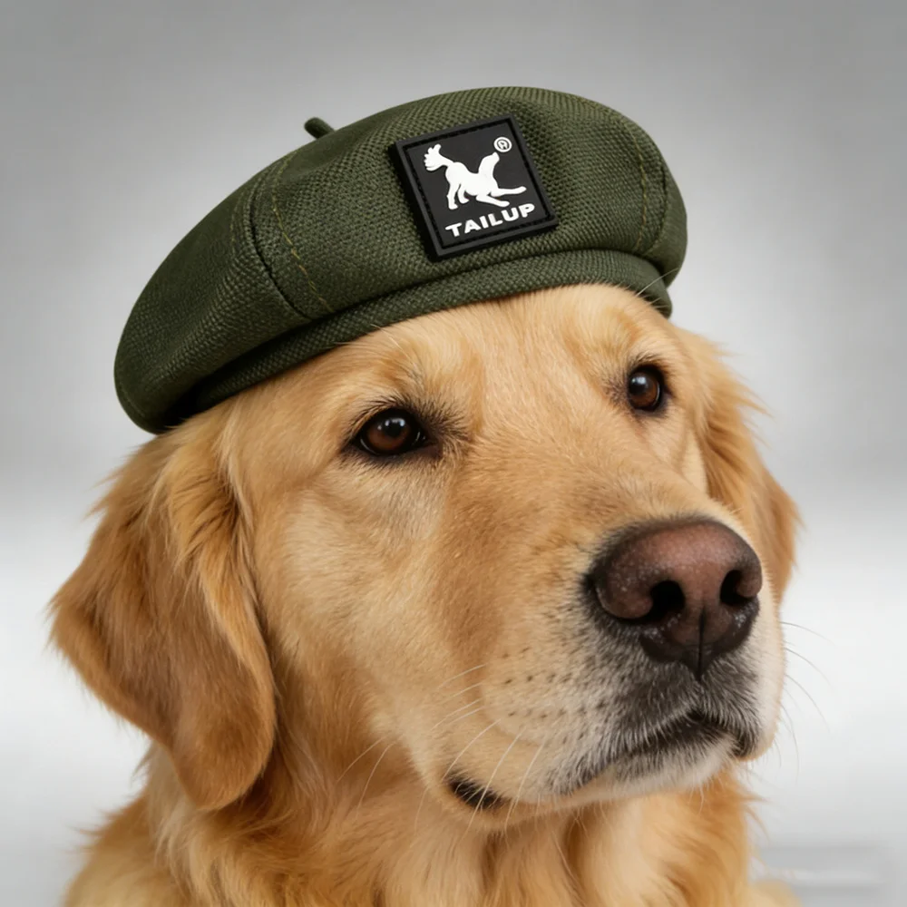 Gorra ajustable redonda para perros grandes, medianos y pequeños
