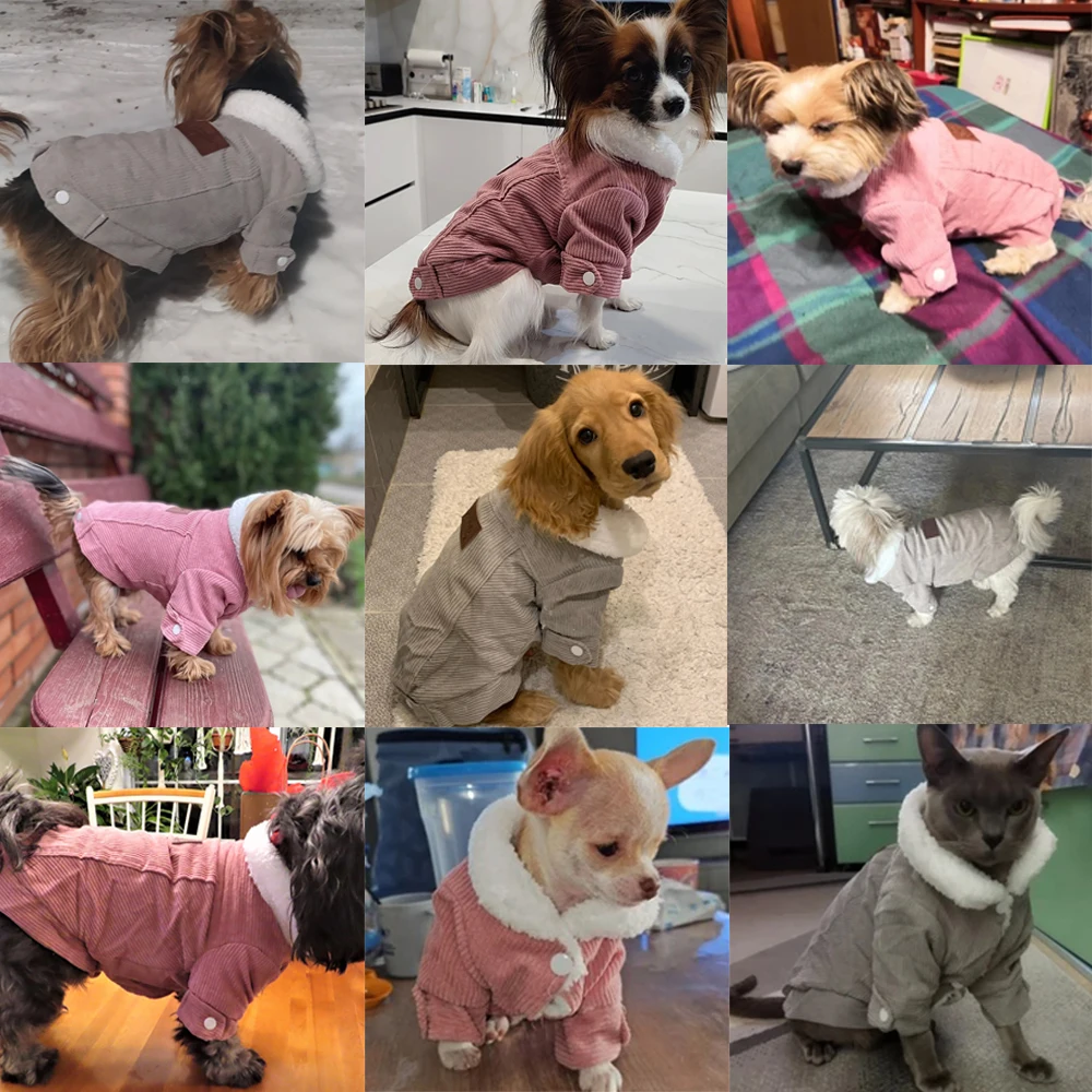 Chaqueta desde diferentes perspectivas