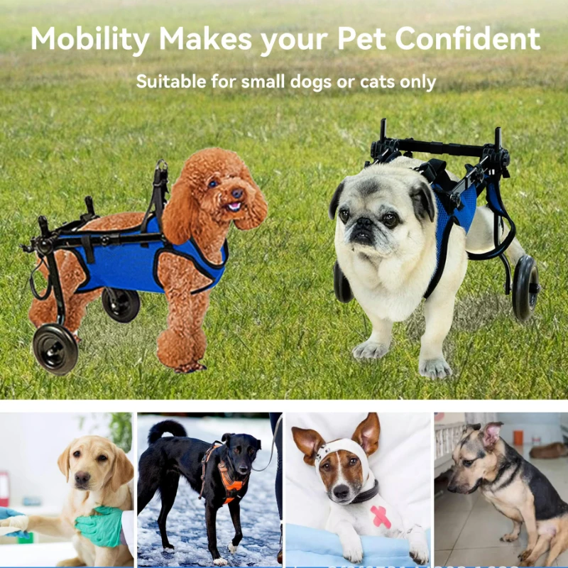 Silla de ruedas ajustable para perros, carrito de movilidad para mascotas con ruedas de rehabilitación, soporte para piernas y arnés para mascotas discapacitadas pequeñas/medías